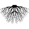 Root Power